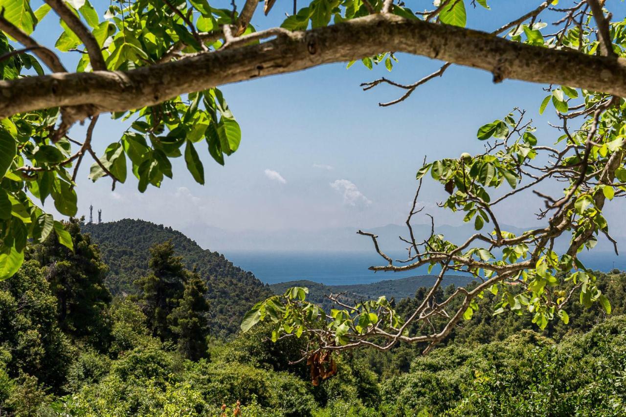 Pyrgos Country House Skopelos Town Bagian luar foto